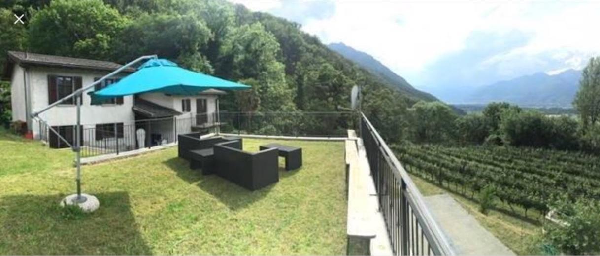 Viva Bacco Bed & Breakfast Gambarogno Ngoại thất bức ảnh